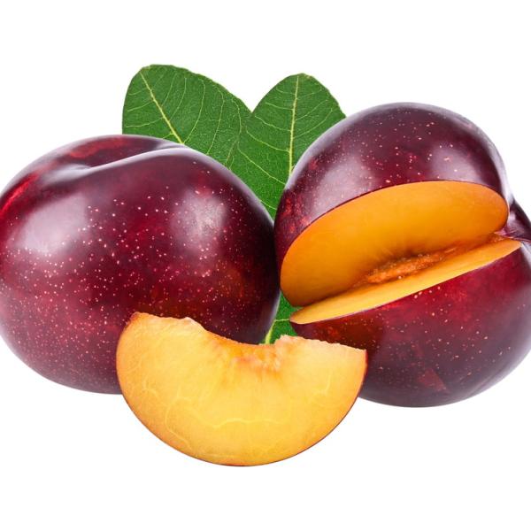 שזיף אדום